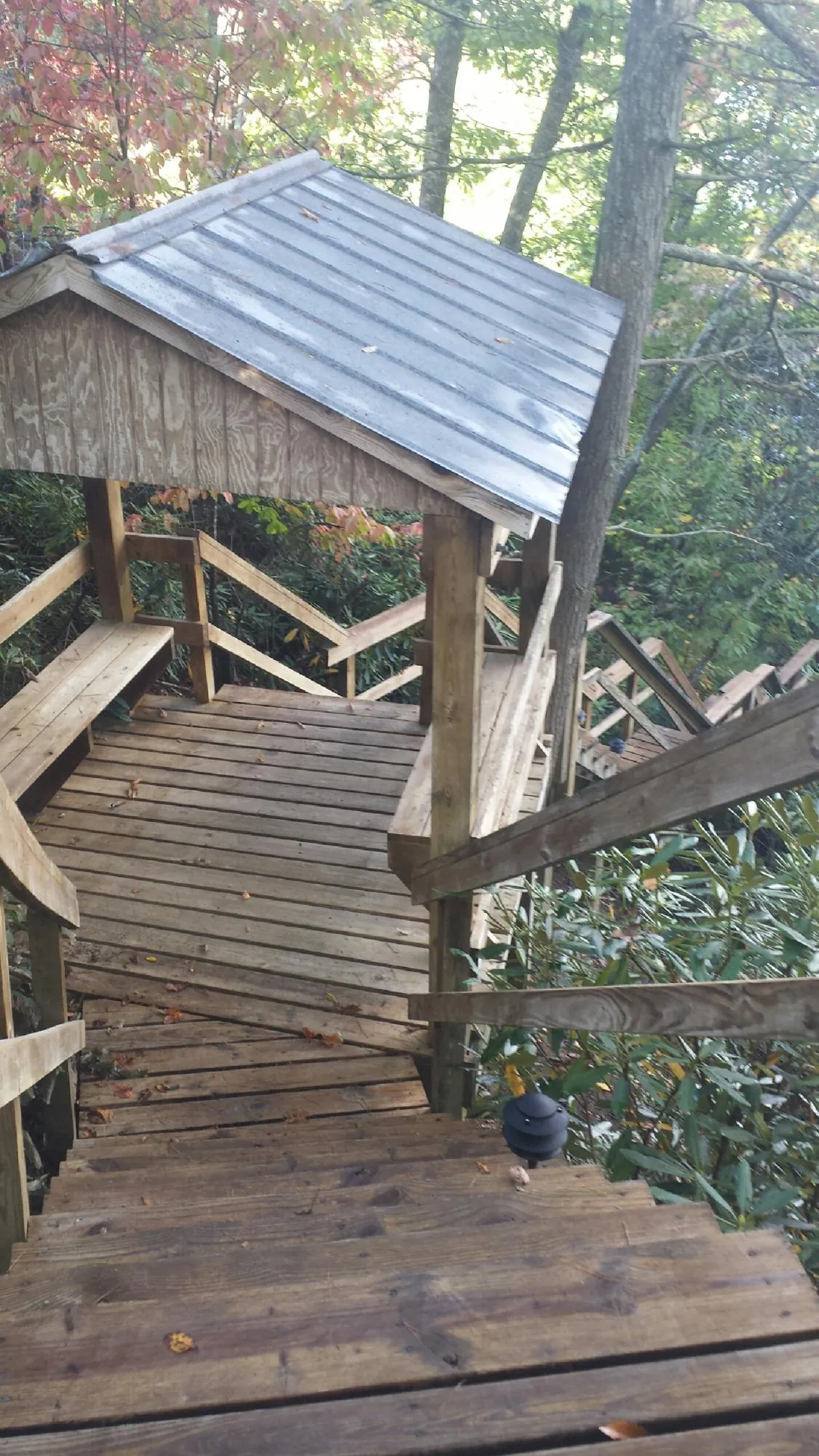 Metal roofed shelter over wooden steps on a wooded walkway — Skylight Repair & Installation work by our crew in Big Rapids
